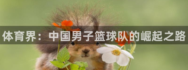 jrkan体育直播：体育界：中国男子篮球队的崛起之路
