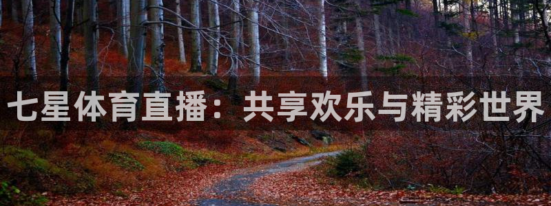 jr看球直播：七星体育直播：共享欢乐与精彩世界