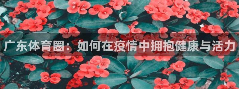 jrkan2022直播体育网：广东体育圈：如何在疫情中拥抱健康与活力