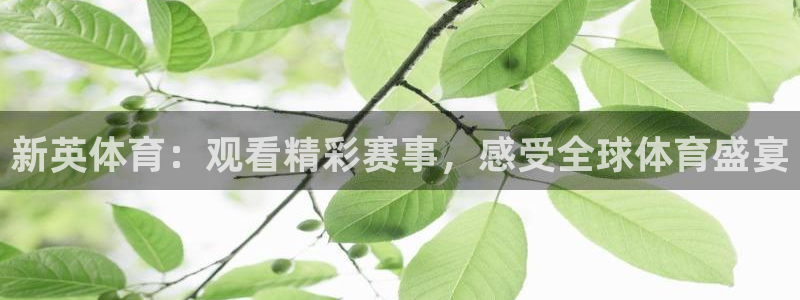 jrkan直播nba免费：新英体育：观看精彩赛事，感受全球体育盛宴