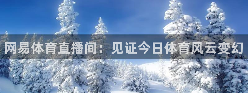 jrkan2023直播体育网：网易体育直播间：见证今日体育风云变幻