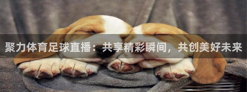 nba直播jrkan：聚力体育足球直播：共享精彩瞬间，共创美好未来