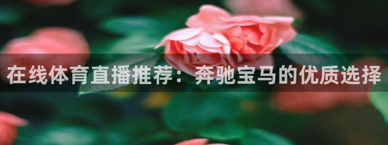 nbajrkan直播：在线体育直播推荐：奔驰宝马的优质选择