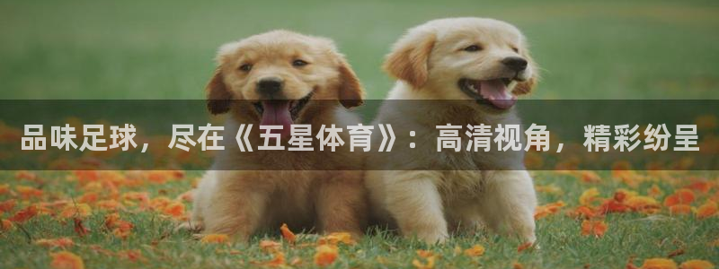 jrkan视频直播nba：品味足球，尽在《五星体育》：高清视角，精彩纷呈