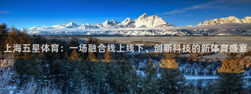 jr看直播nba：上海五星体育：一场融合线上线下、创新科技的新体育盛宴