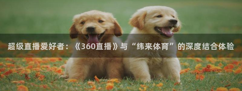 jrkankan体育直播：超级直播爱好者：《360直播》与“纬来体育”的深度结合体验