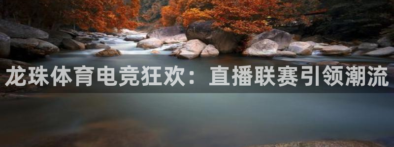 jr看直播nba：龙珠体育电竞狂欢：直播联赛引领潮流