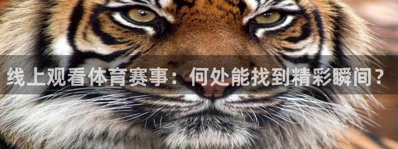 jrkan2023直播体育网：线上观看体育赛事：何处能找到精彩瞬间？