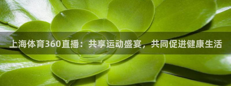 jrkan直播nba直播：上海体育360直播：共享运动盛宴，共同促进健康生活