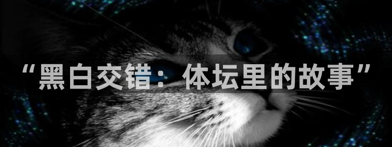 jrkan直播篮球：“黑白交错：体坛里的故事”